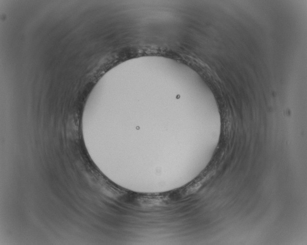 X0000078260661200612011656