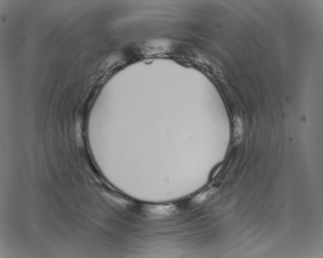 X0000078260663200612011656