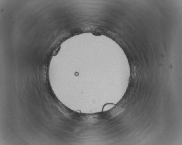 X0000078260664200612011656