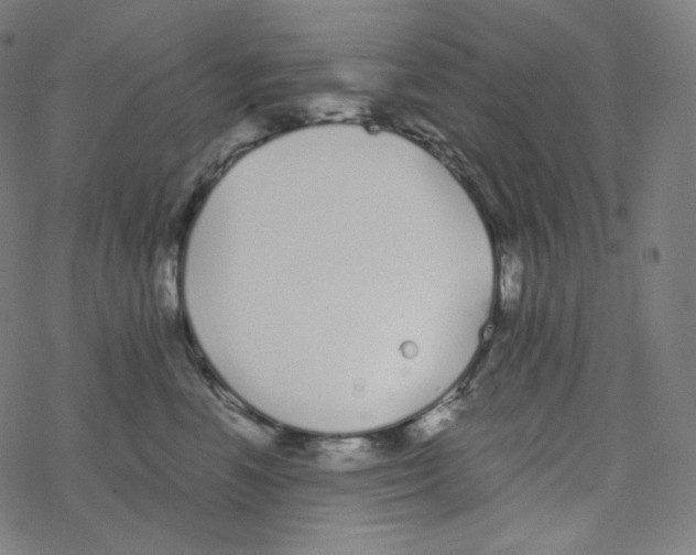 X0000078260666200612011656