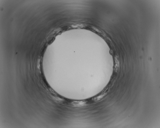 X0000078260667200612011656