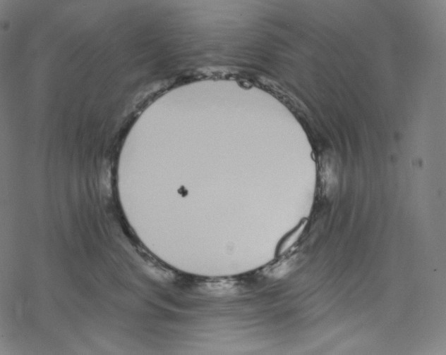 X0000078260668200612011656