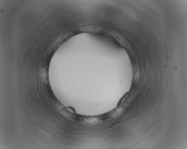 X0000078260669200612011656