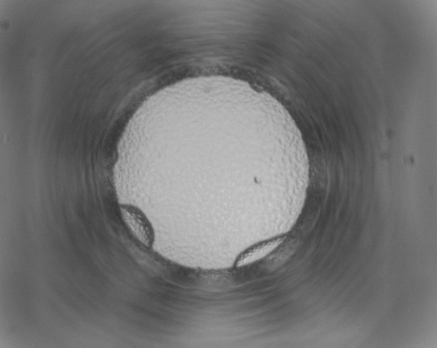 X0000078260670200612011656