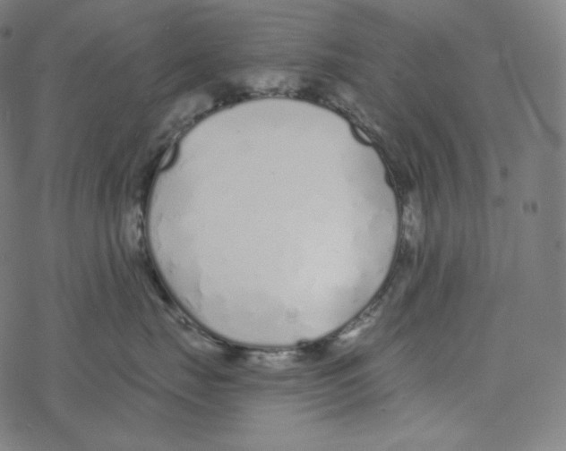 X0000078260671200612011656