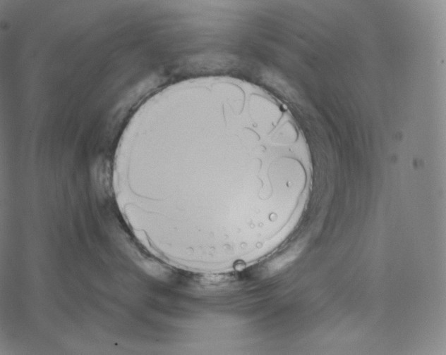 X0000078260672200612011656