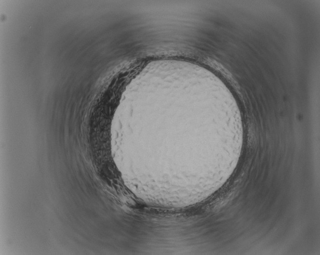 X0000078260673200612011655