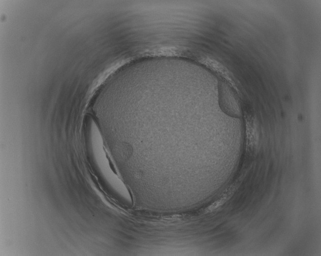 X0000078260674200612011655