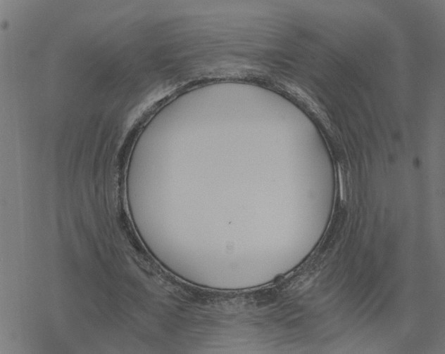 X0000078260675200612011655