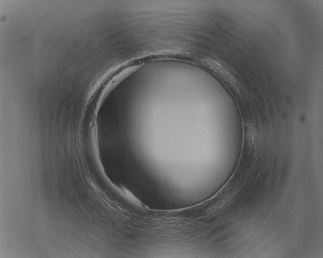 X0000078260676200612011655