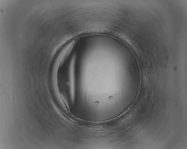 X0000078260677200612011655