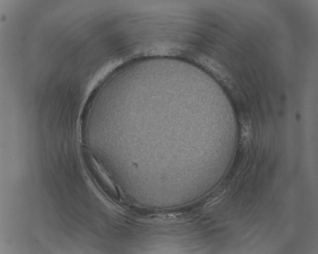 X0000078260678200612011655