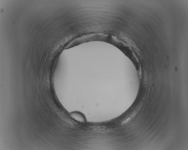 X0000078260681200612011655