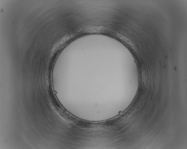 X0000078260682200612011655