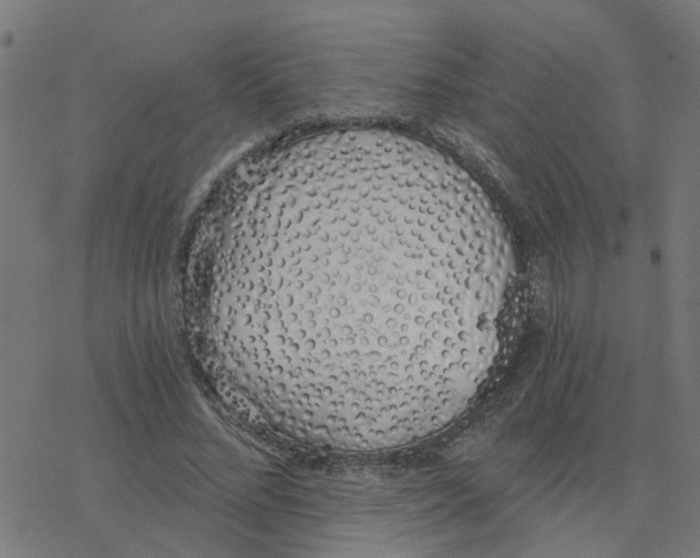 X0000078260684200612011655