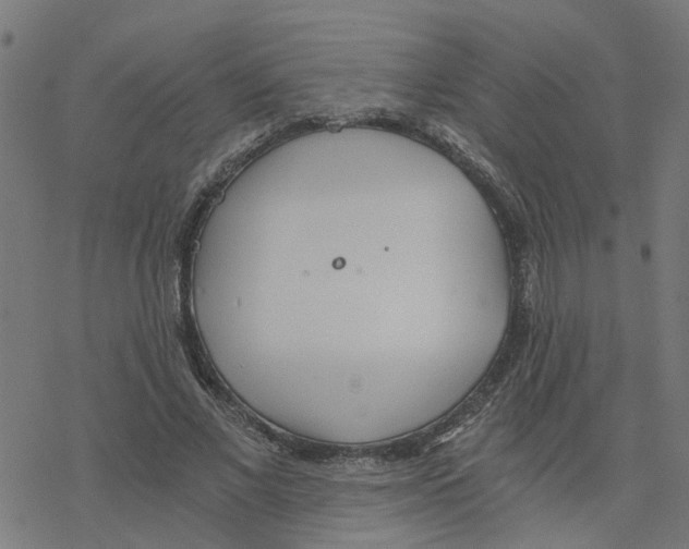 X0000078260685200612011655