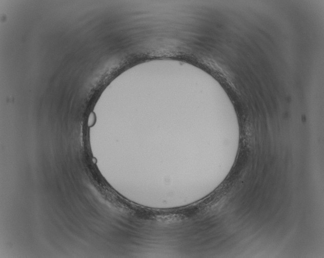 X0000078260686200612011655