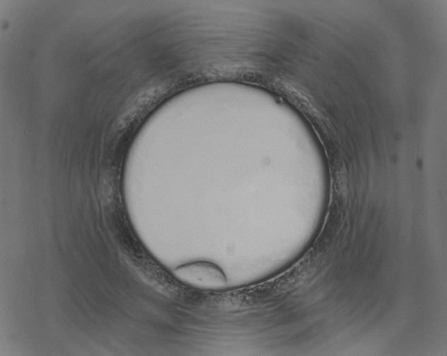 X0000078260687200612011655