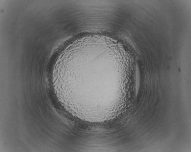 X0000078260688200612011655