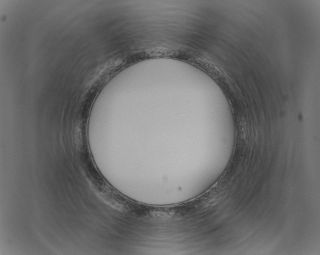 X0000078260690200612011655