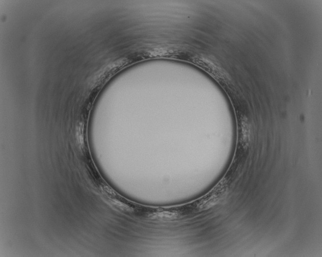 X0000078260691200612011655