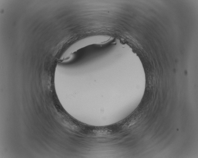 X0000078260693200612011655