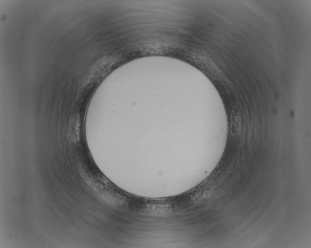 X0000078260694200612011655