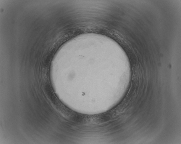 X0000078260695200612011655