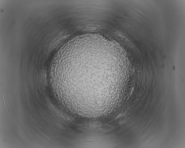 X0000078260696200612011655