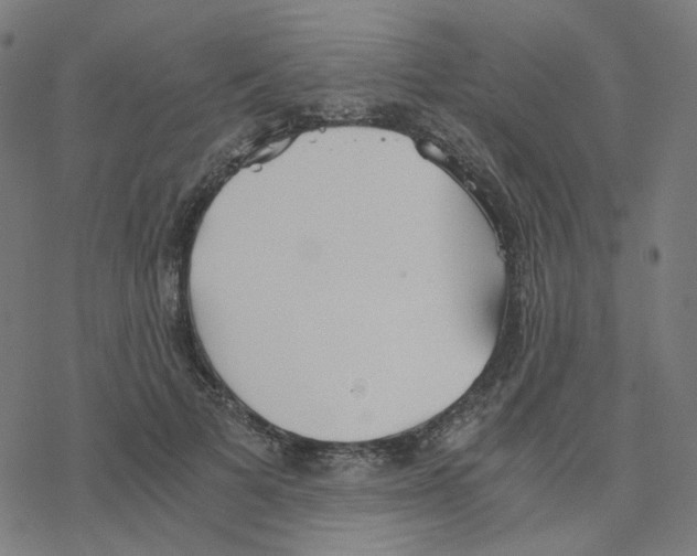 X0000078260697200612011655