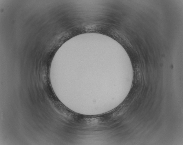 X0000078260698200612011655