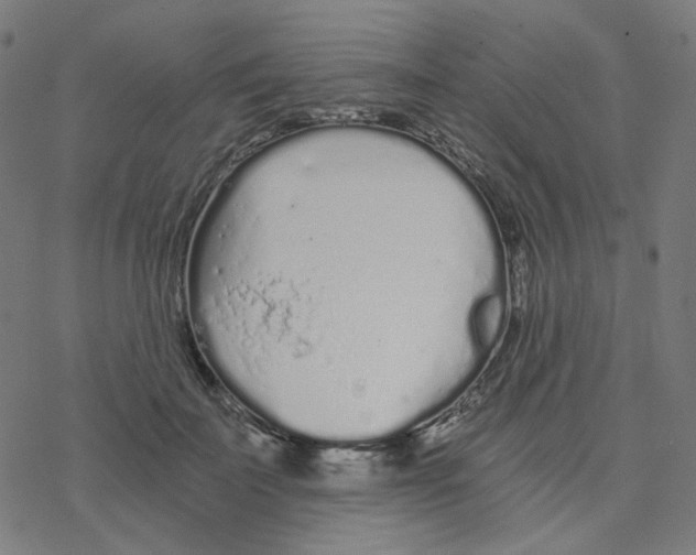 X0000078260699200612011655