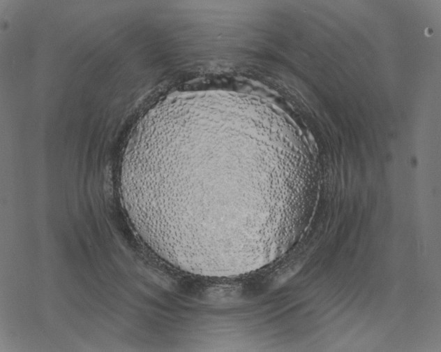 X0000078260700200612011655