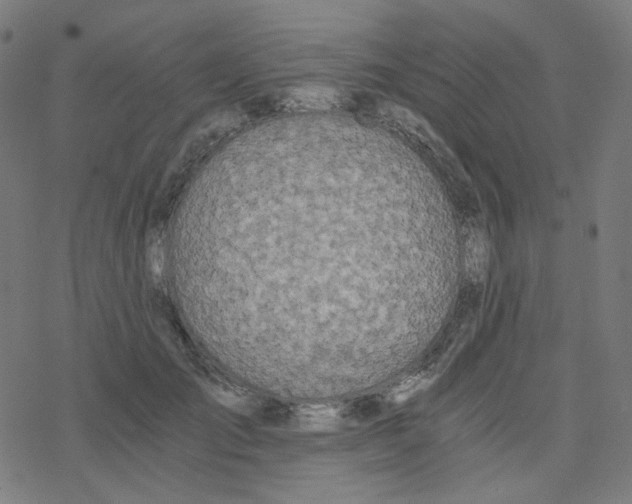 X0000078260701200612011655