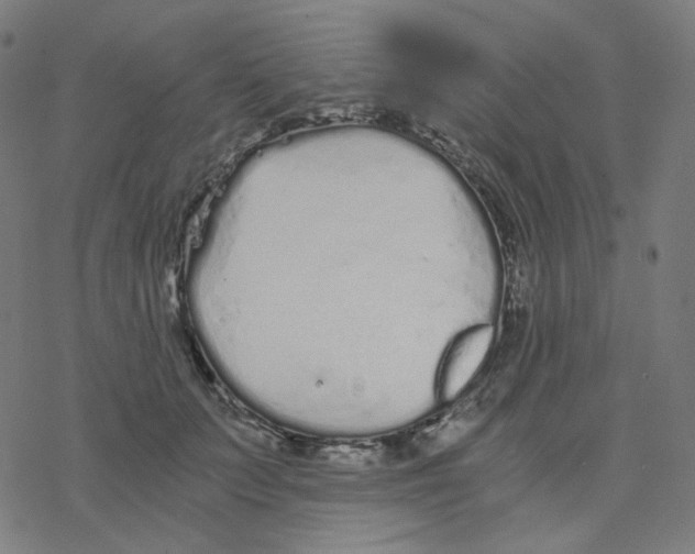 X0000078260703200612011654