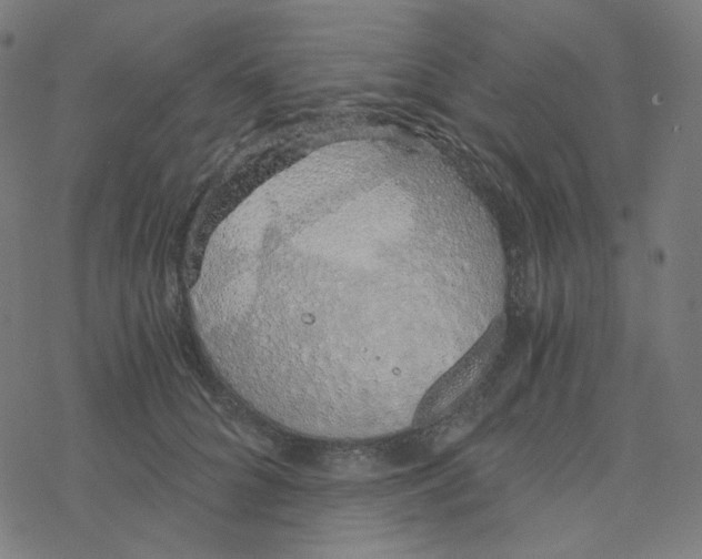 X0000078260704200612011654