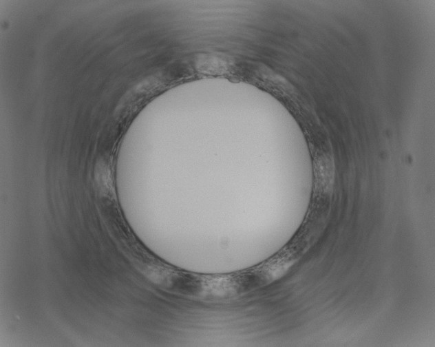 X0000078260705200612011654