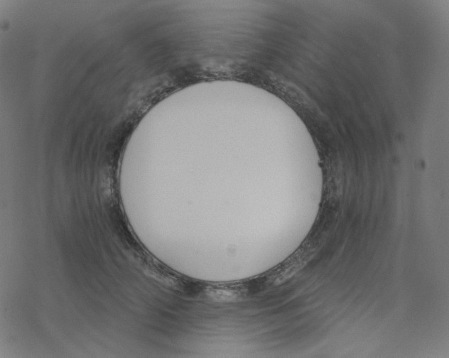 X0000078260706200612011654