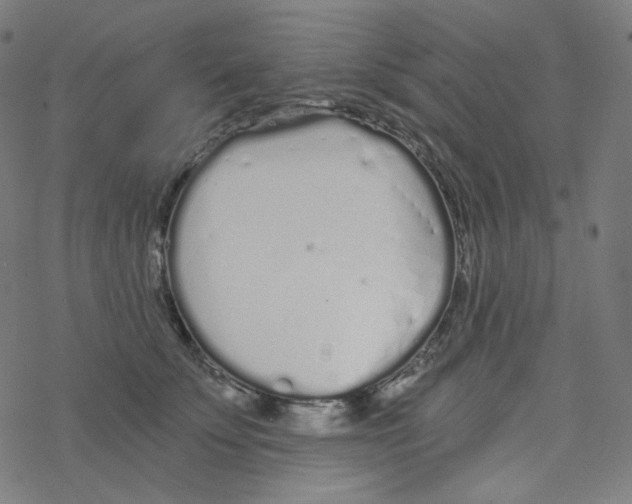 X0000078260707200612011654