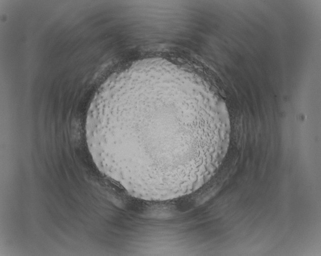 X0000078260708200612011654