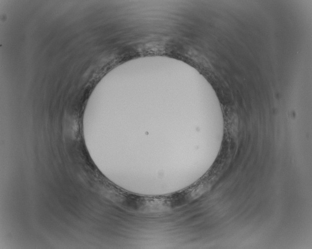 X0000078260709200612011654