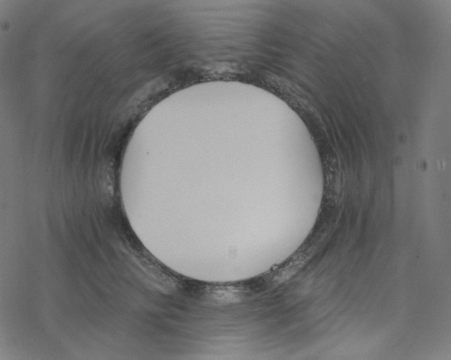 X0000078260710200612011654