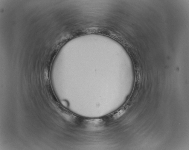 X0000078260711200612011654