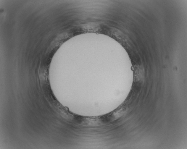 X0000078260713200612011654