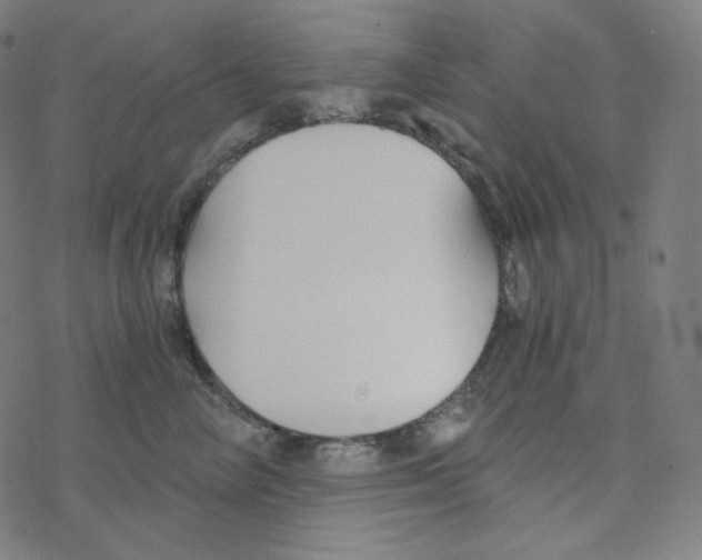 X0000078260714200612011654