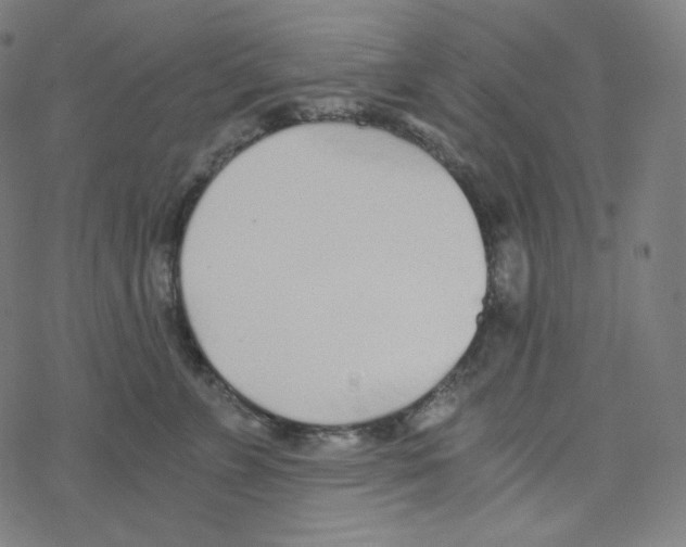 X0000078260715200612011654