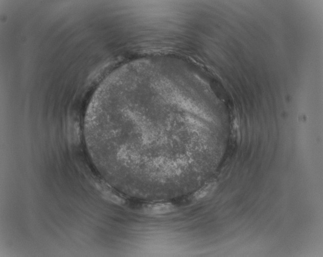 X0000078260716200612011654