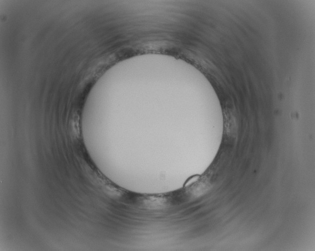 X0000078260718200612011654