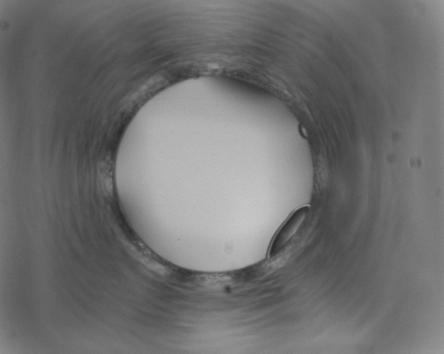 X0000078260719200612011654