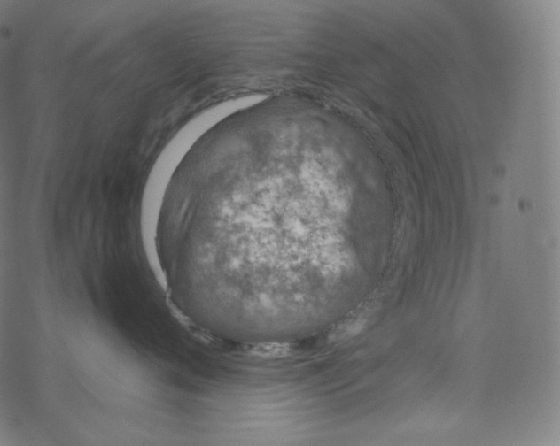 X0000078260720200612011654